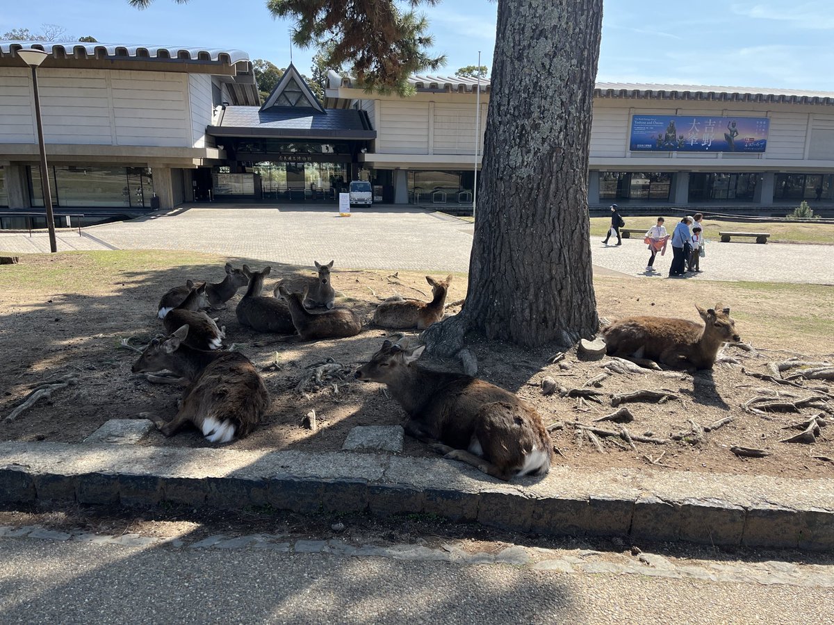 わんばん|自由で身軽な人生構築 tweet media