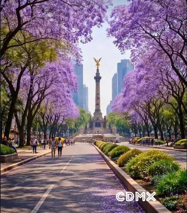 lostwithdragons's tweet photo. Que chula es CDMX cuando no hay tianguis, manifestación o basura. https://t.co/cQNuqVQiaS