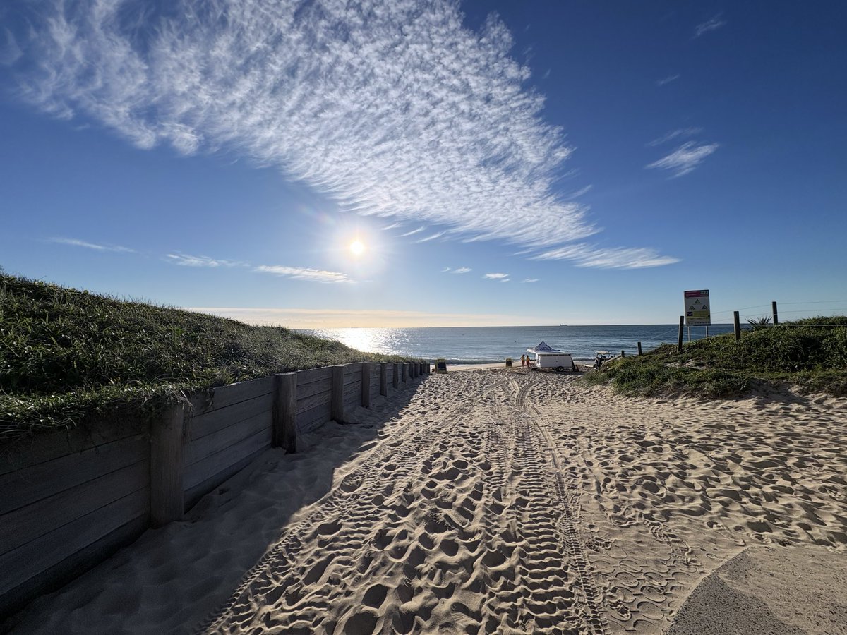 💧David maycraft🩸🌱 tweet media