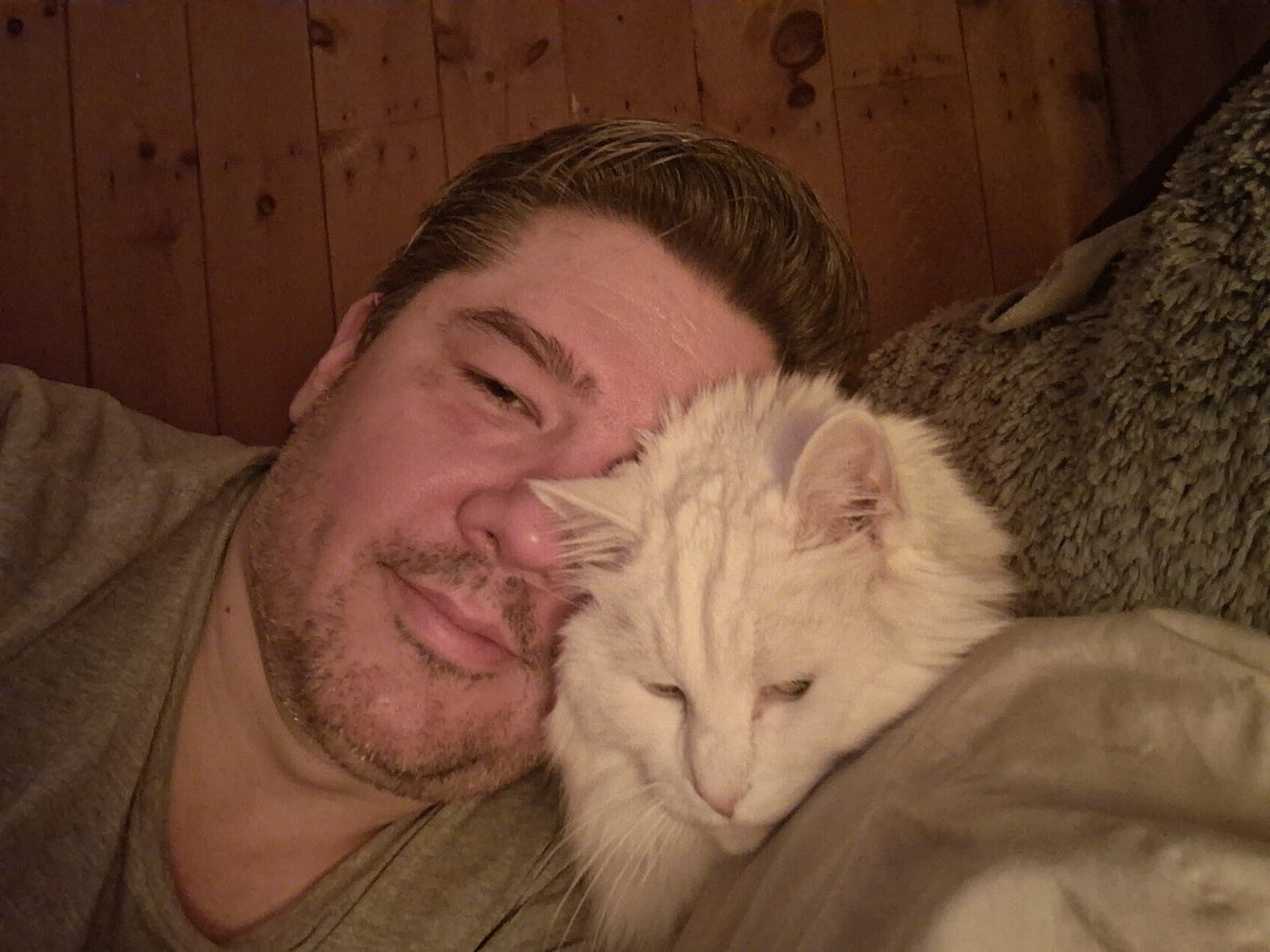 Disaffected tweet media