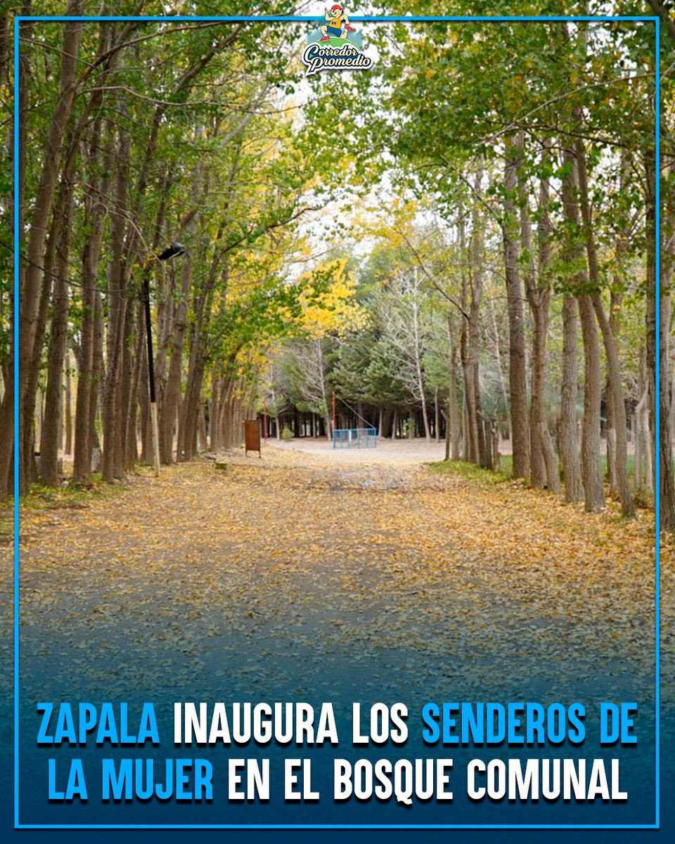 Corredor Promedio tweet media