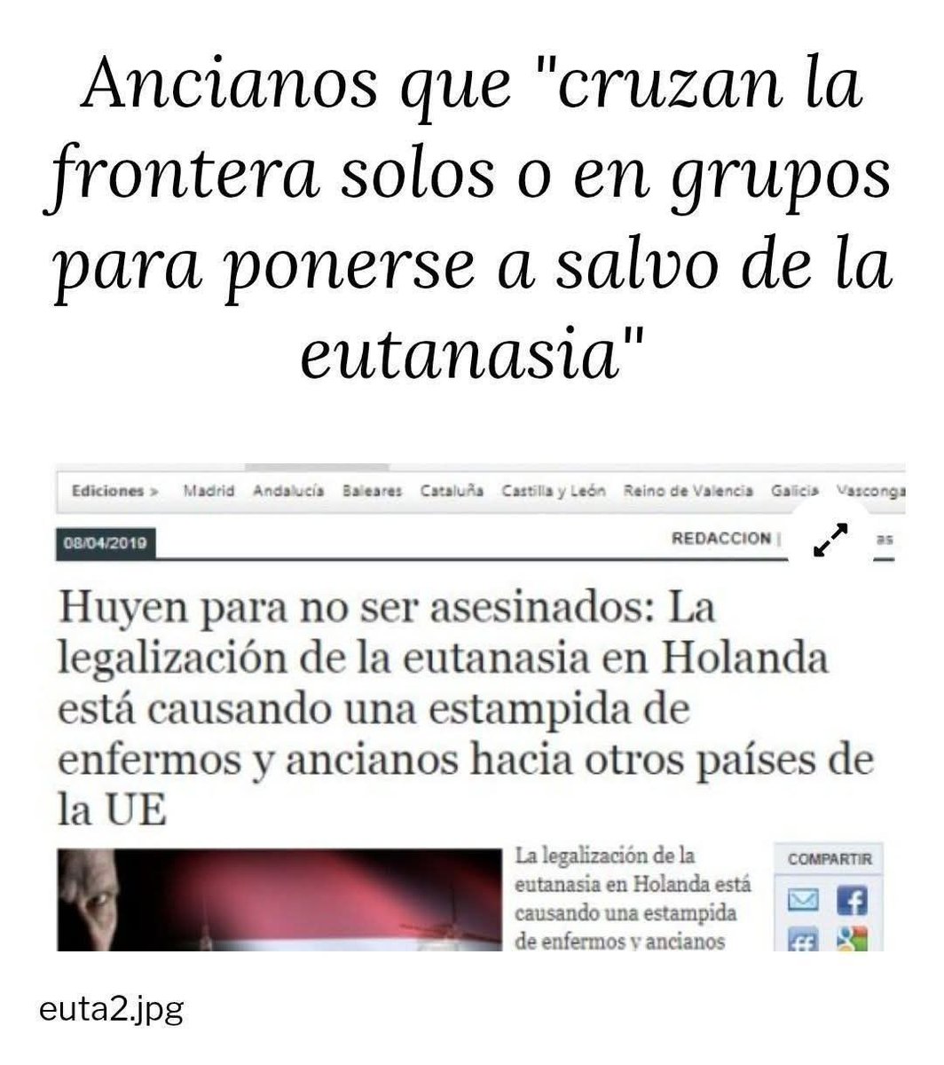 promeTEO tweet media