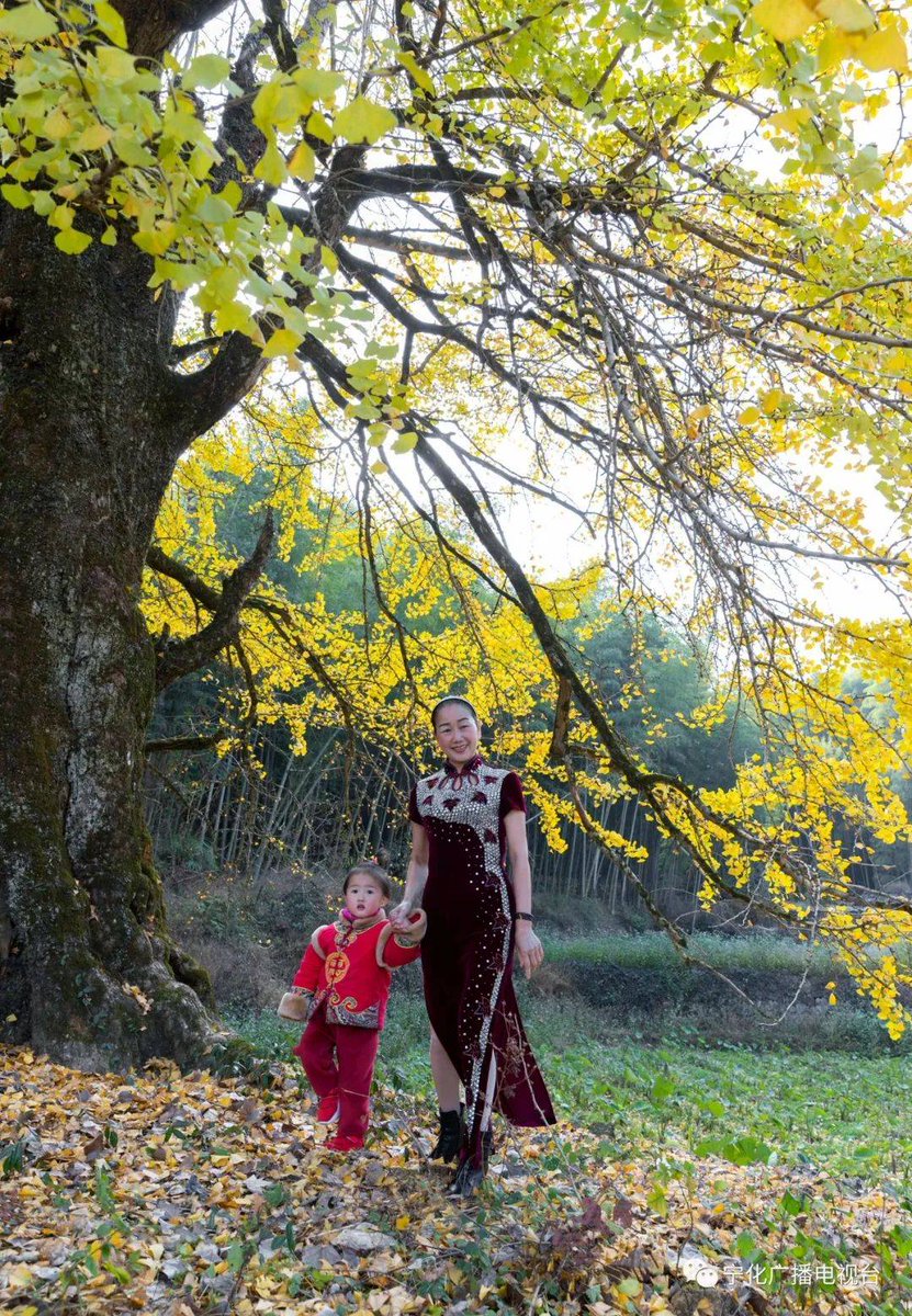 Matheus Colli tweet media