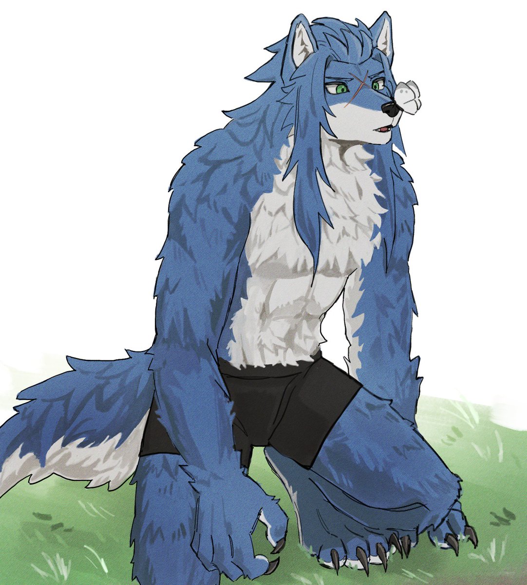 てった tweet media