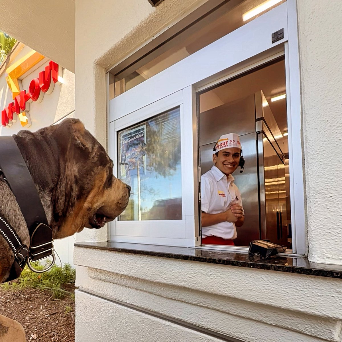 Luigi Shorty Rossi tweet media