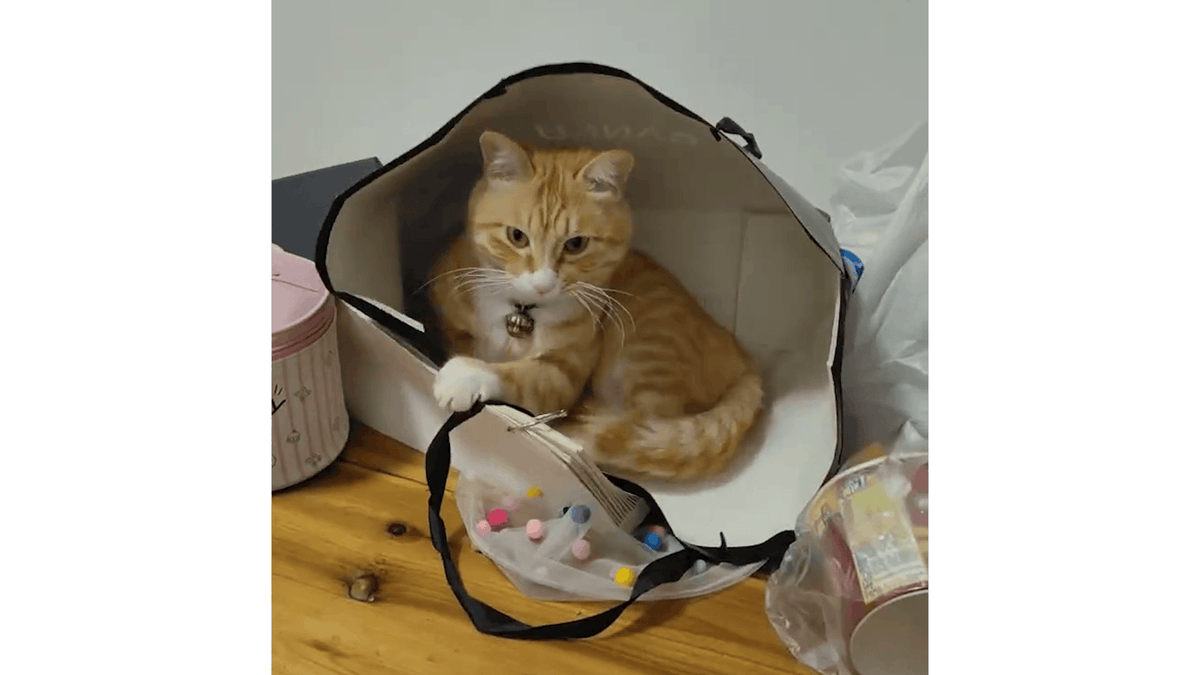 coeur aimant tweet media