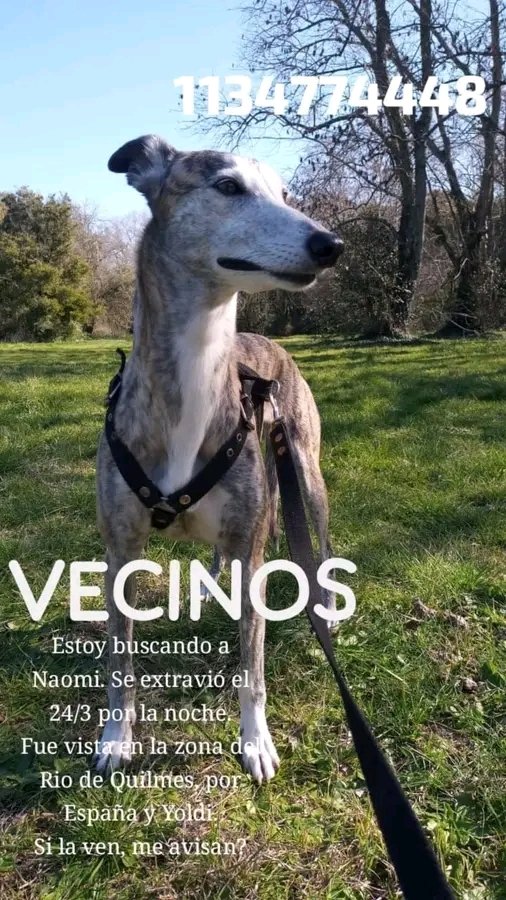 Jimena Torres ⭐️⭐️⭐️ tweet media