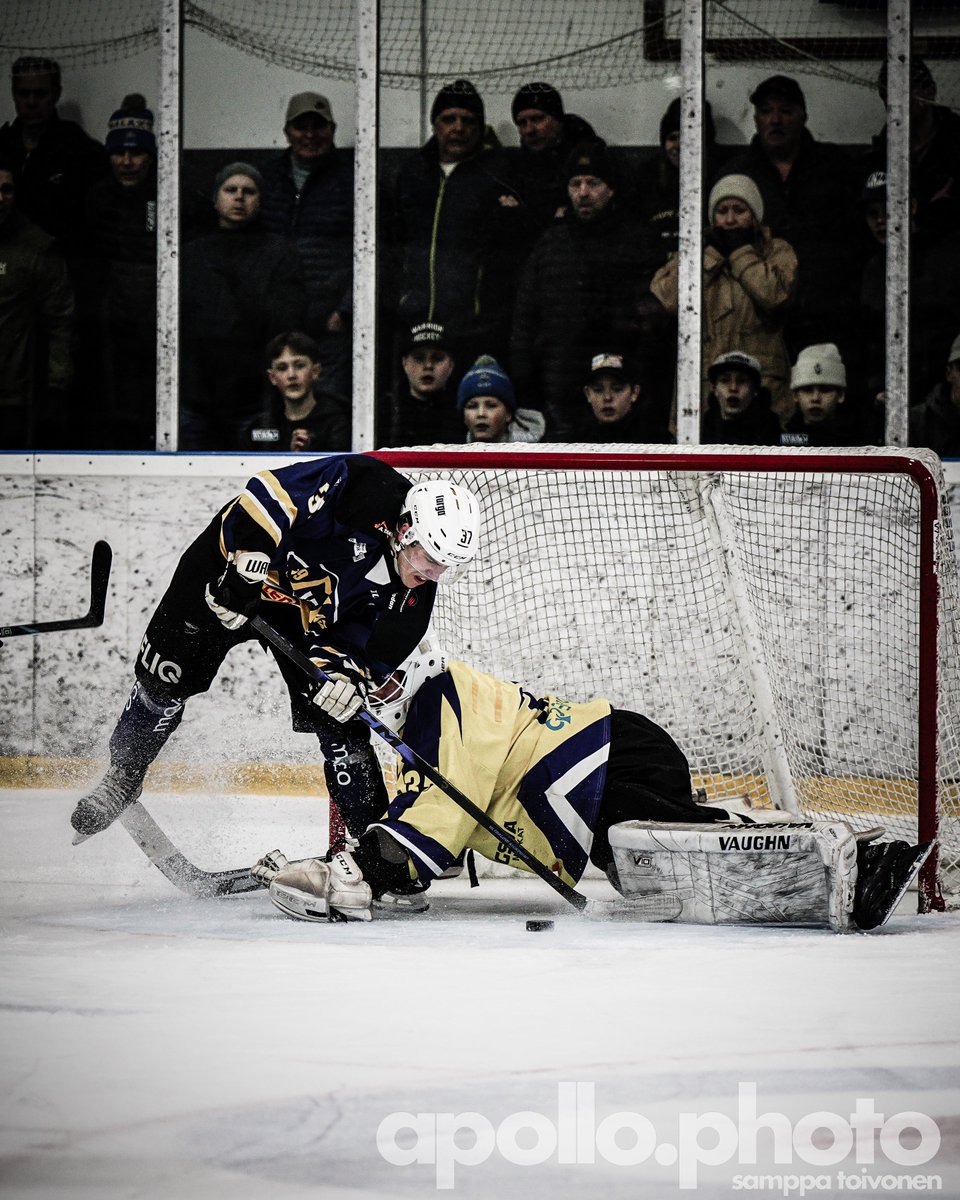 Apollo Photo tweet media