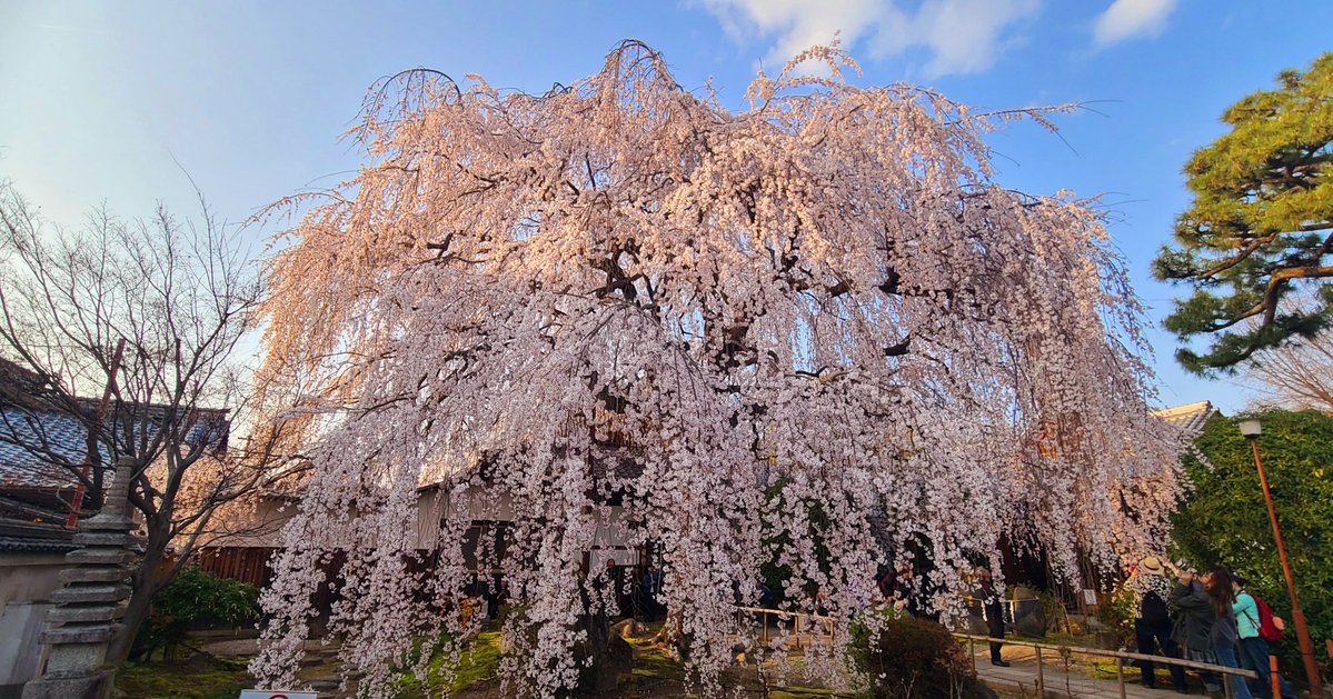 様式美🐰投資メタラー tweet media
