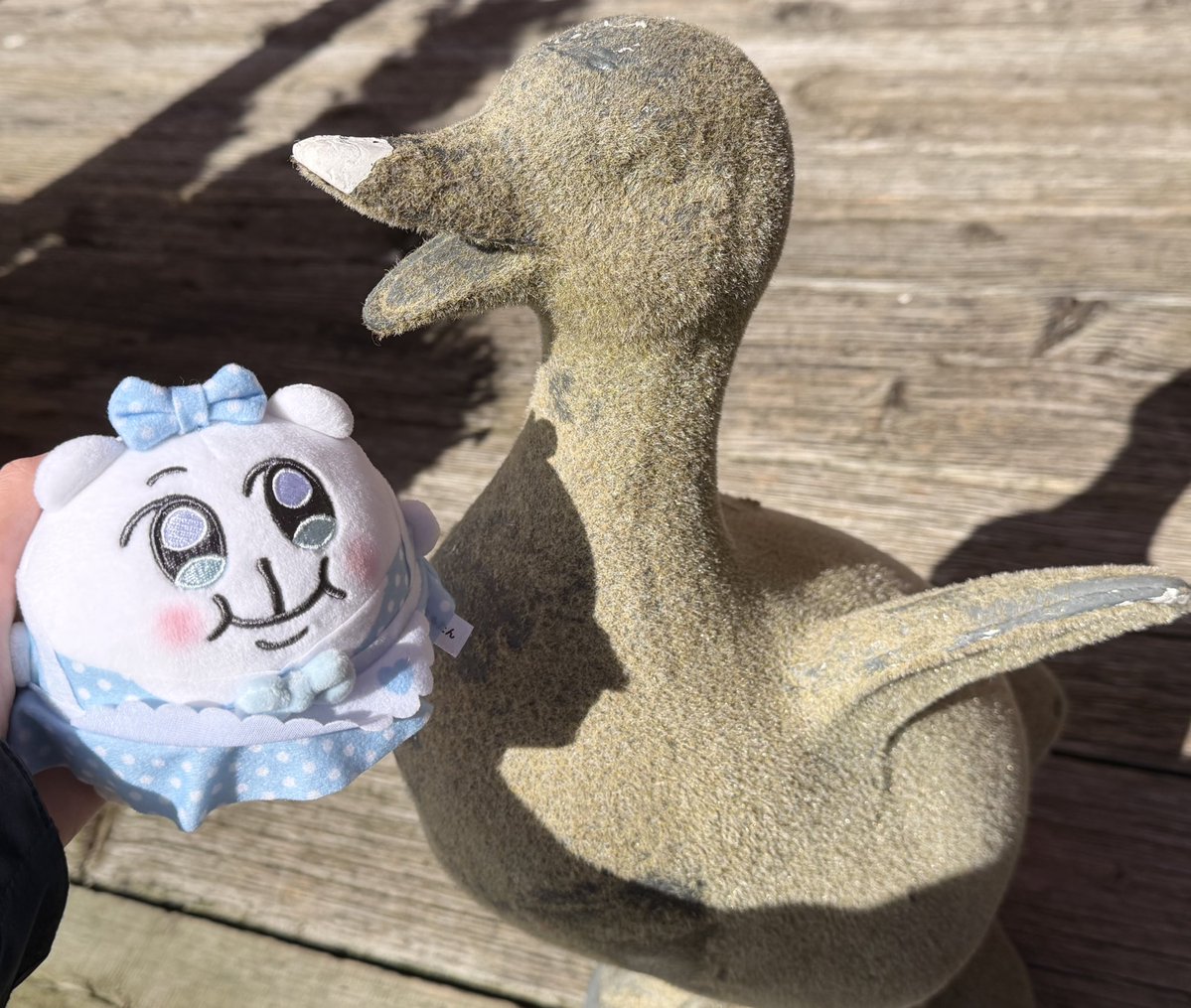 咒术臭嘎 tweet media