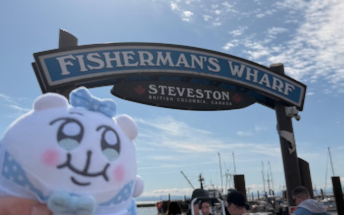 咒术臭嘎 tweet media