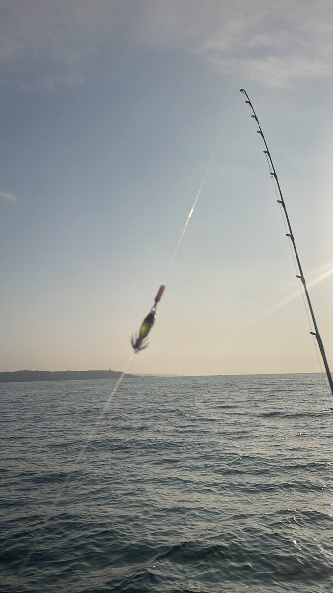 オッシー tweet media