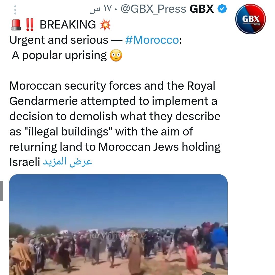 فاطمة الزهراء شايب tweet media