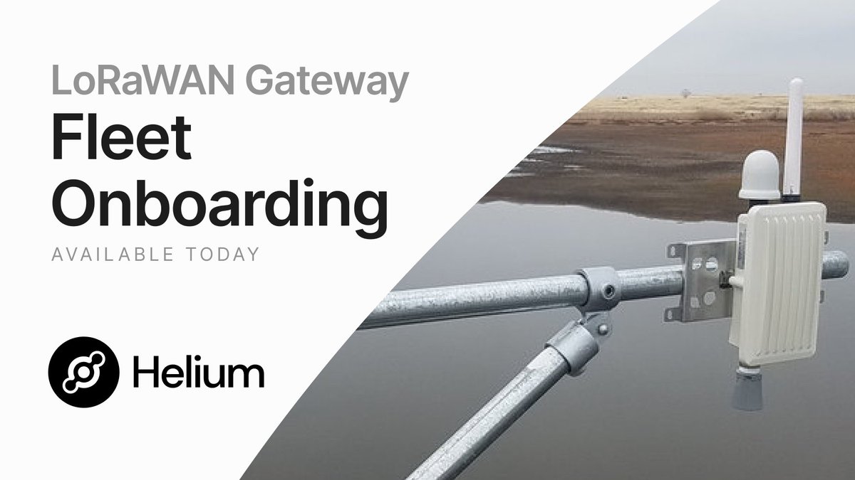 Joey Hiller 🎈 tweet media