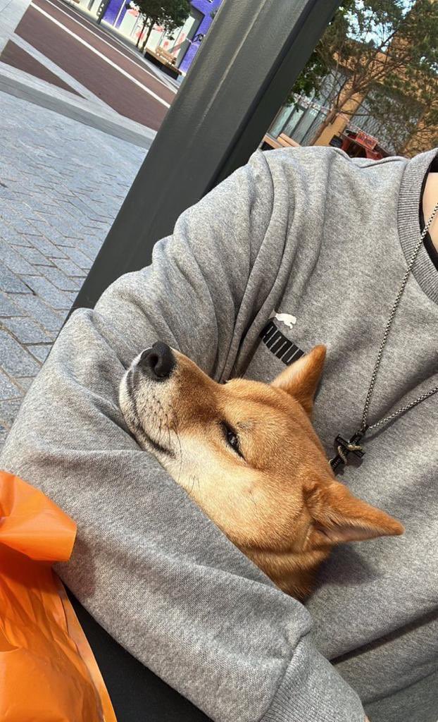 𝔸𝕟𝕟🌬️🌵🎀 tweet media