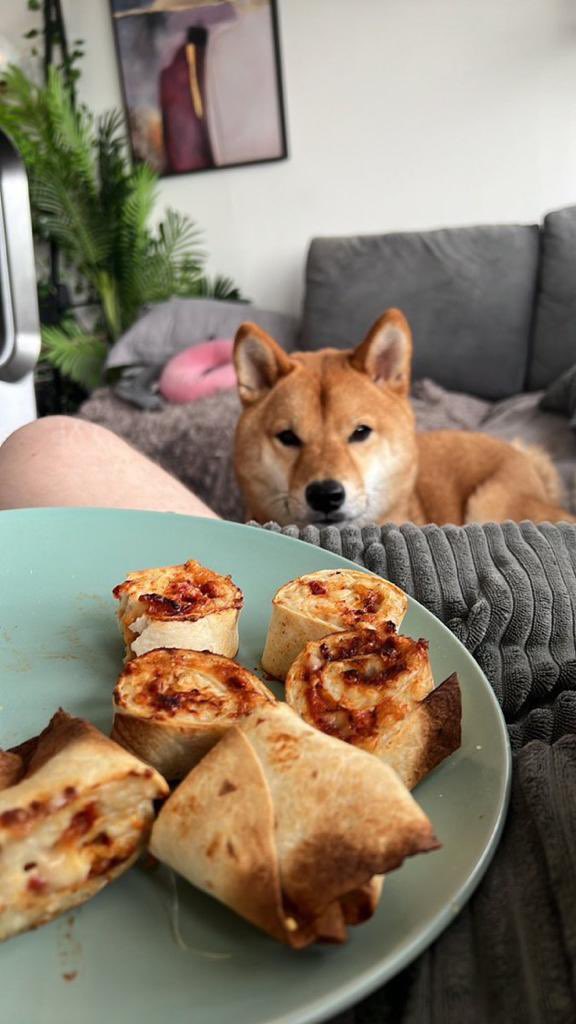 𝔸𝕟𝕟🌬️🌵🎀 tweet media