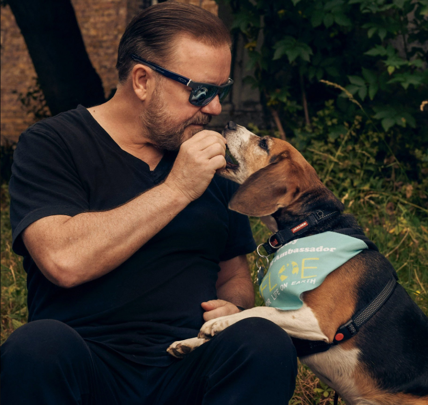 Betsy, BeagIe Ambassador for FLOE tweet media
