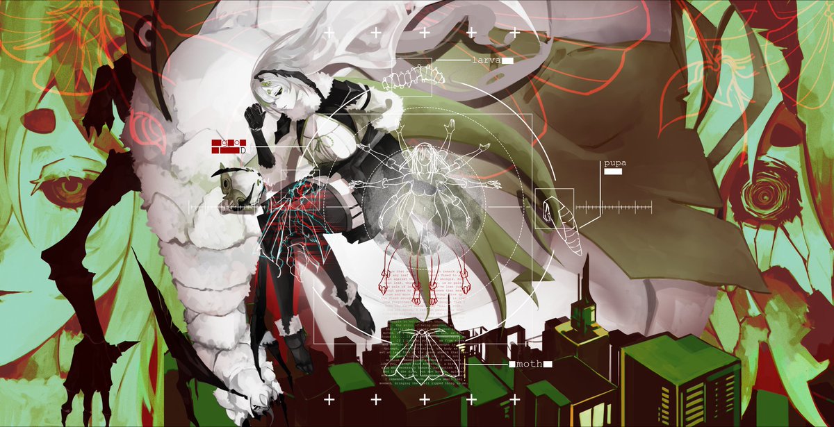 DeerSightings tweet media