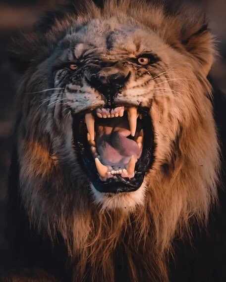 BROWNNIE🤍✨ tweet media