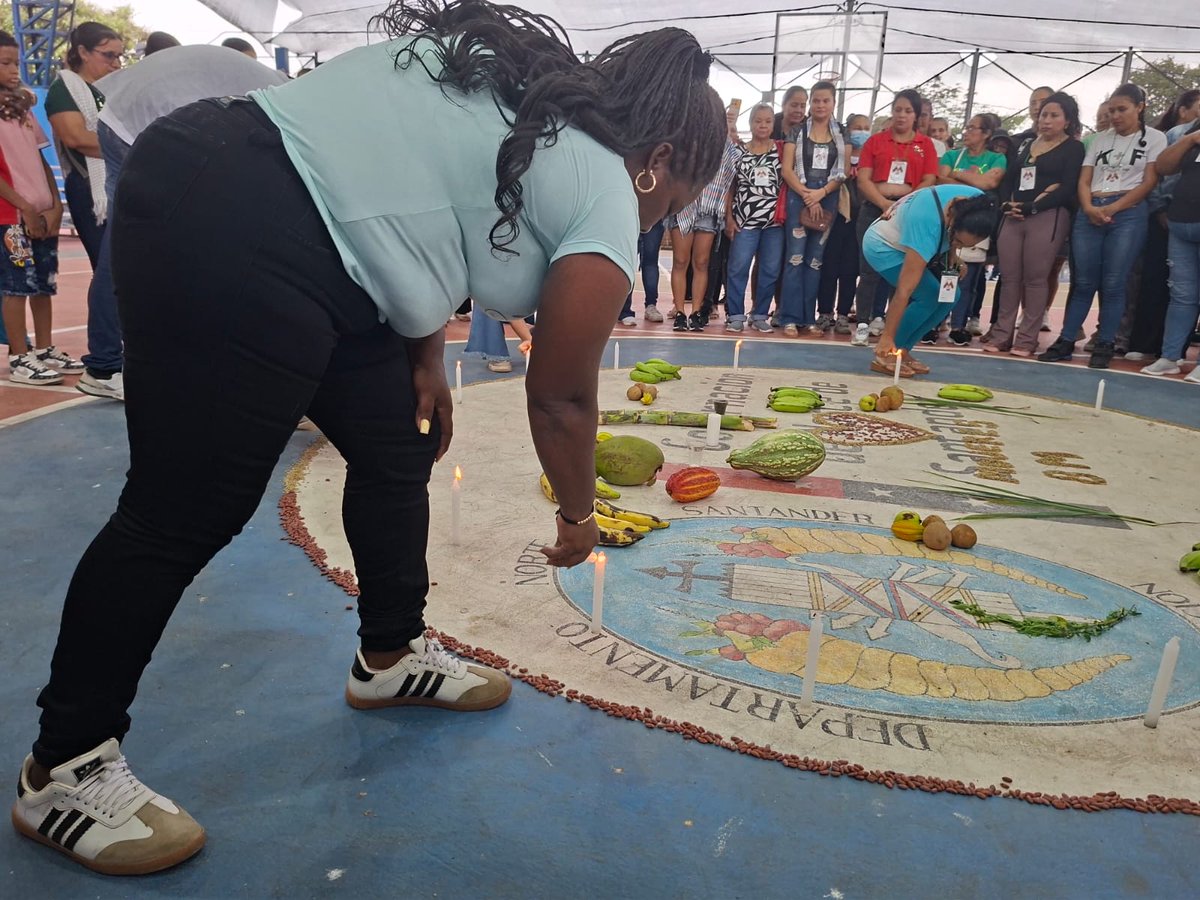 Mision de Apoyo al Proceso de Paz - OEA tweet media