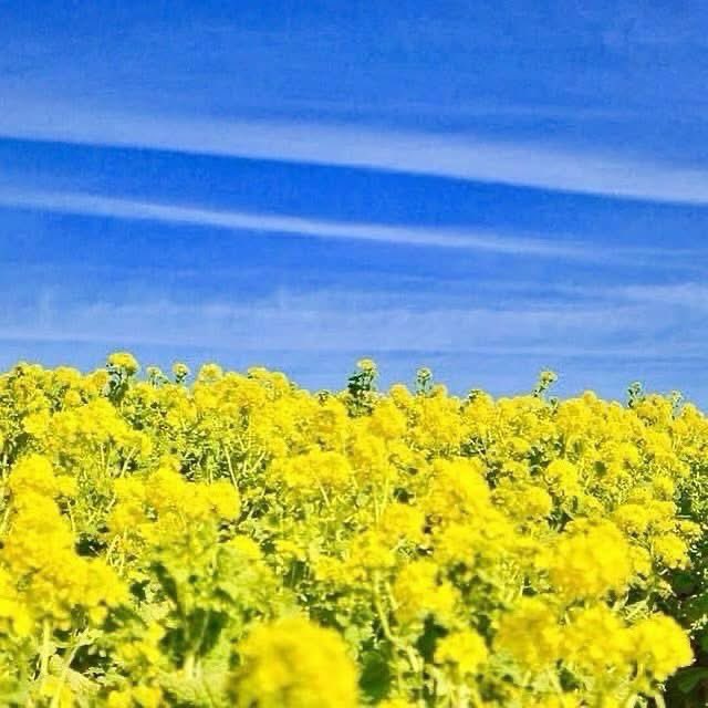 デコ兄(ﾃﾙﾃﾙｱﾌﾛ)💡 ̖́- tweet media