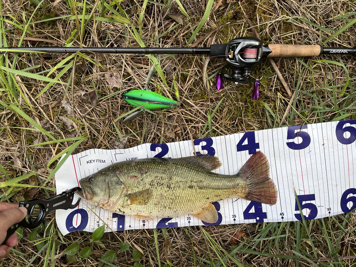 ティノ@デ部 tweet media