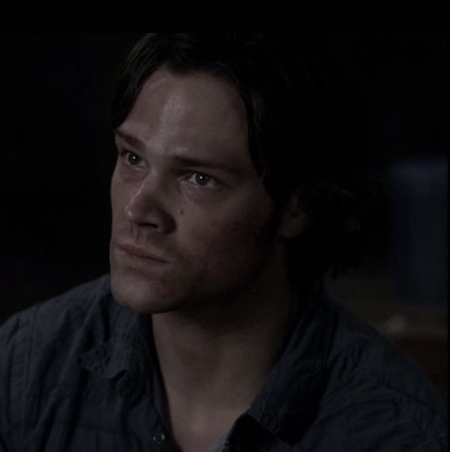 bella *ੈ✩‧₊˚ tweet media