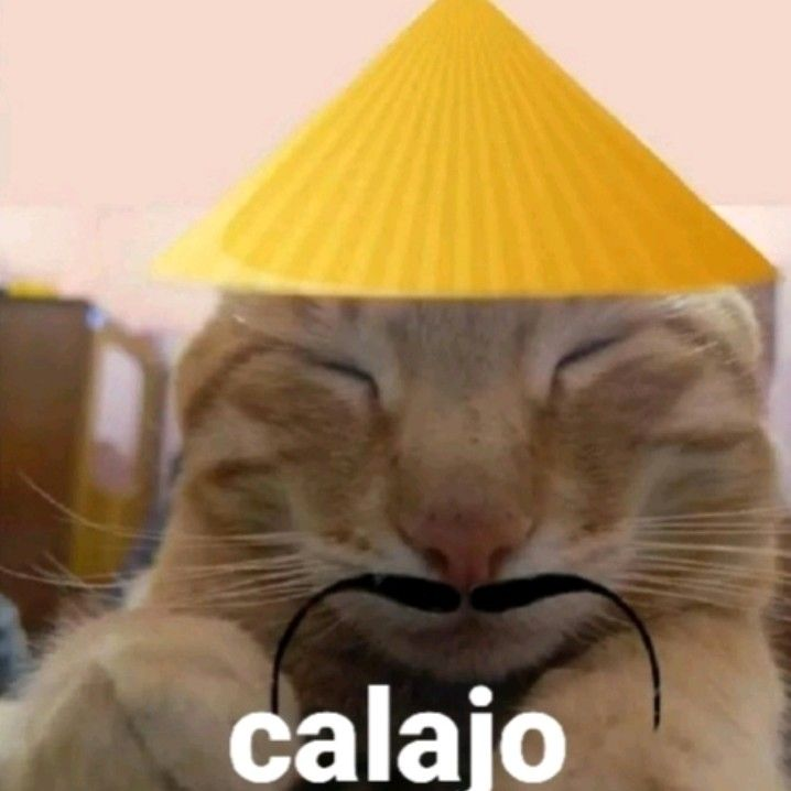 ✩ ₊˚Taiyo✩ ₊˚ tweet media