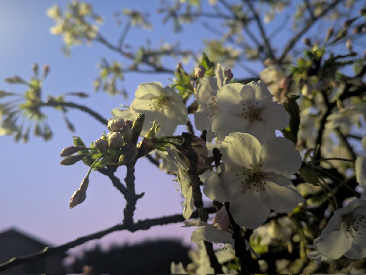 雅ん＠モデモデファイファイ tweet media