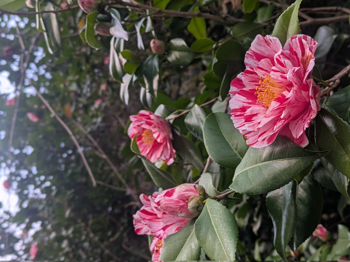 雅ん＠モデモデファイファイ tweet media