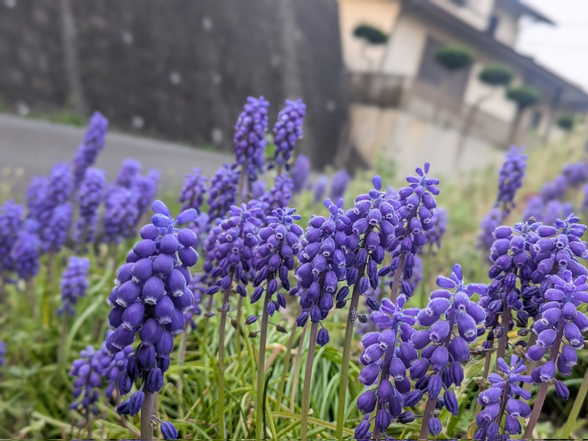 雅ん＠モデモデファイファイ tweet media