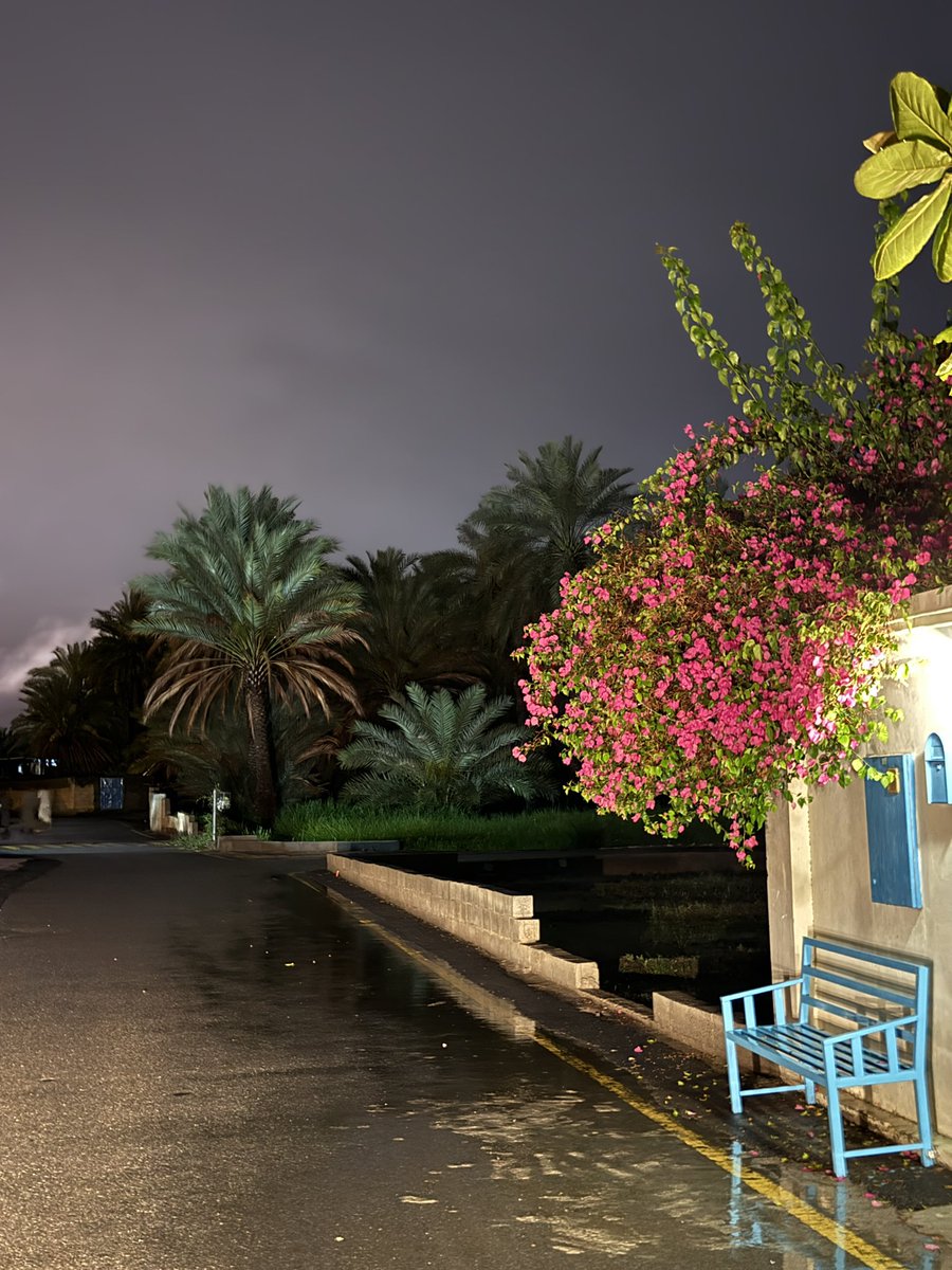 رُكن|🫀 tweet media