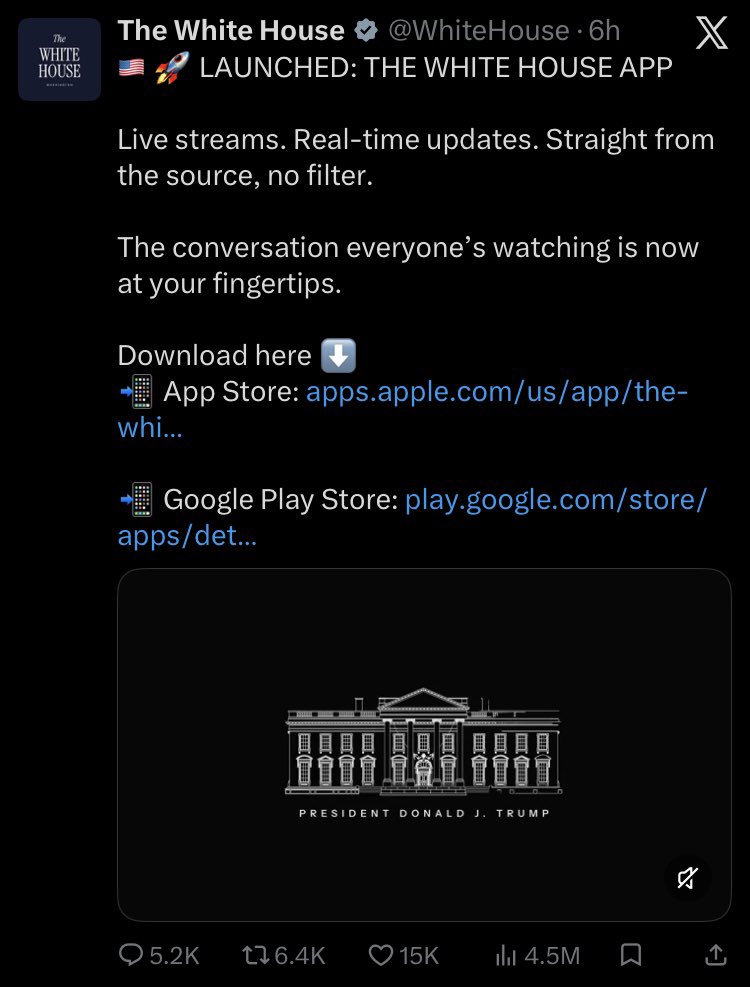 #LiberatedLisa tweet media