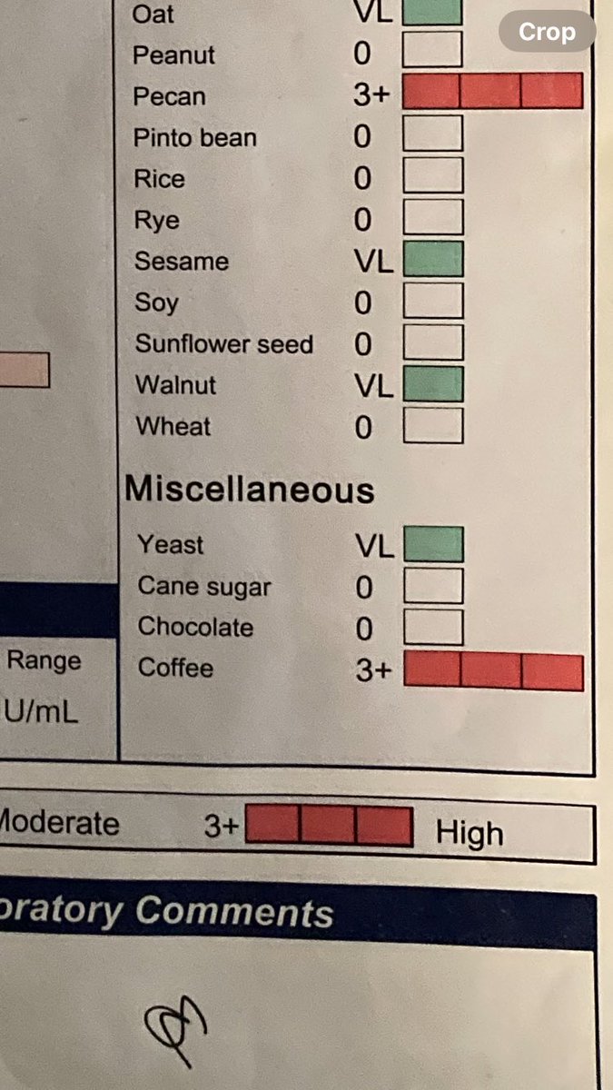 Fox Grimaldi tweet media