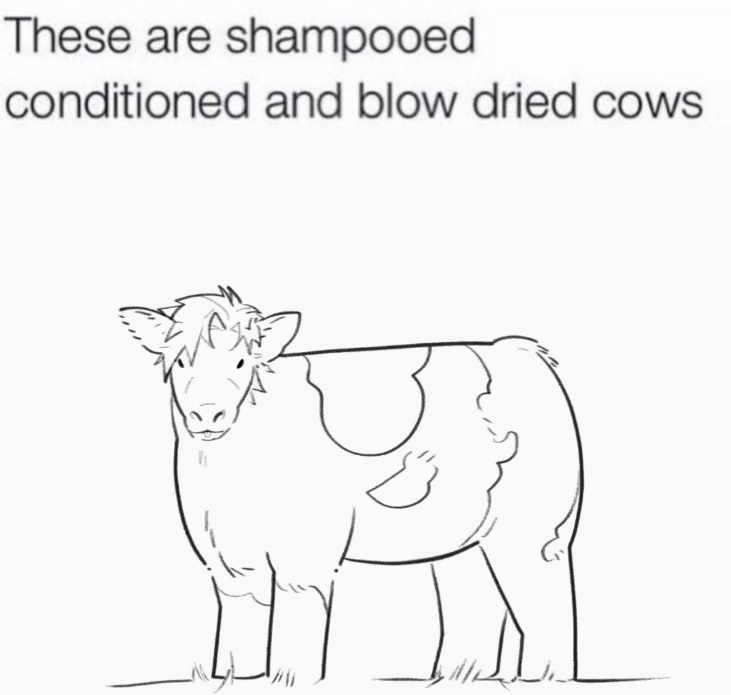 盛🦉秦彻的老公 tweet media