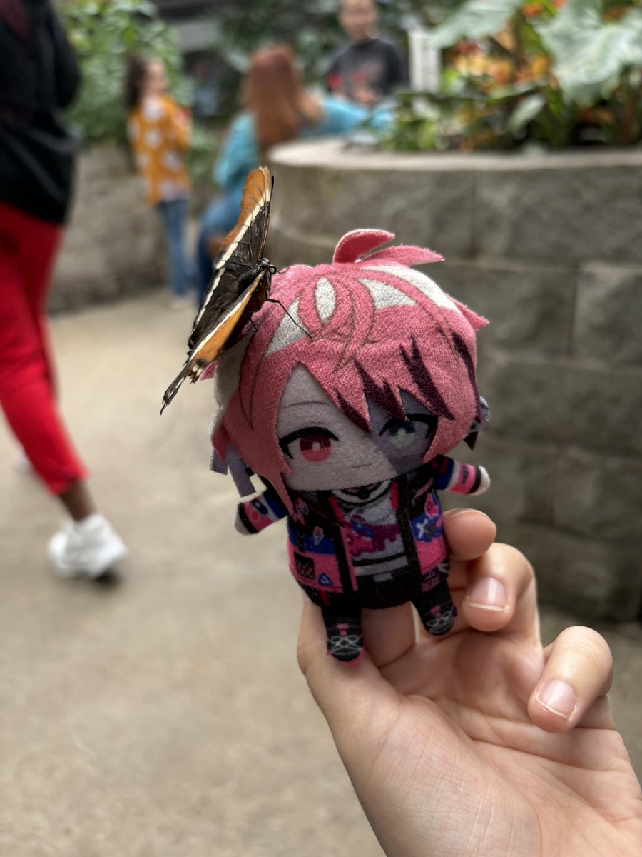 Luna07086230's tweet photo. This is my first post here, but I thought it would be silly to post Rosco pape with a butterfly! Bro was just chillin 
#RoscoGraves https://t.co/xzxbmDxHt2
