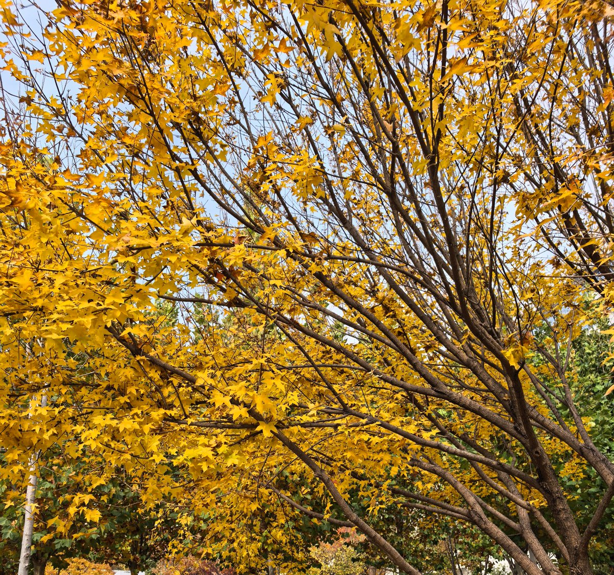 **ThE OnE yOu HaTe** tweet media