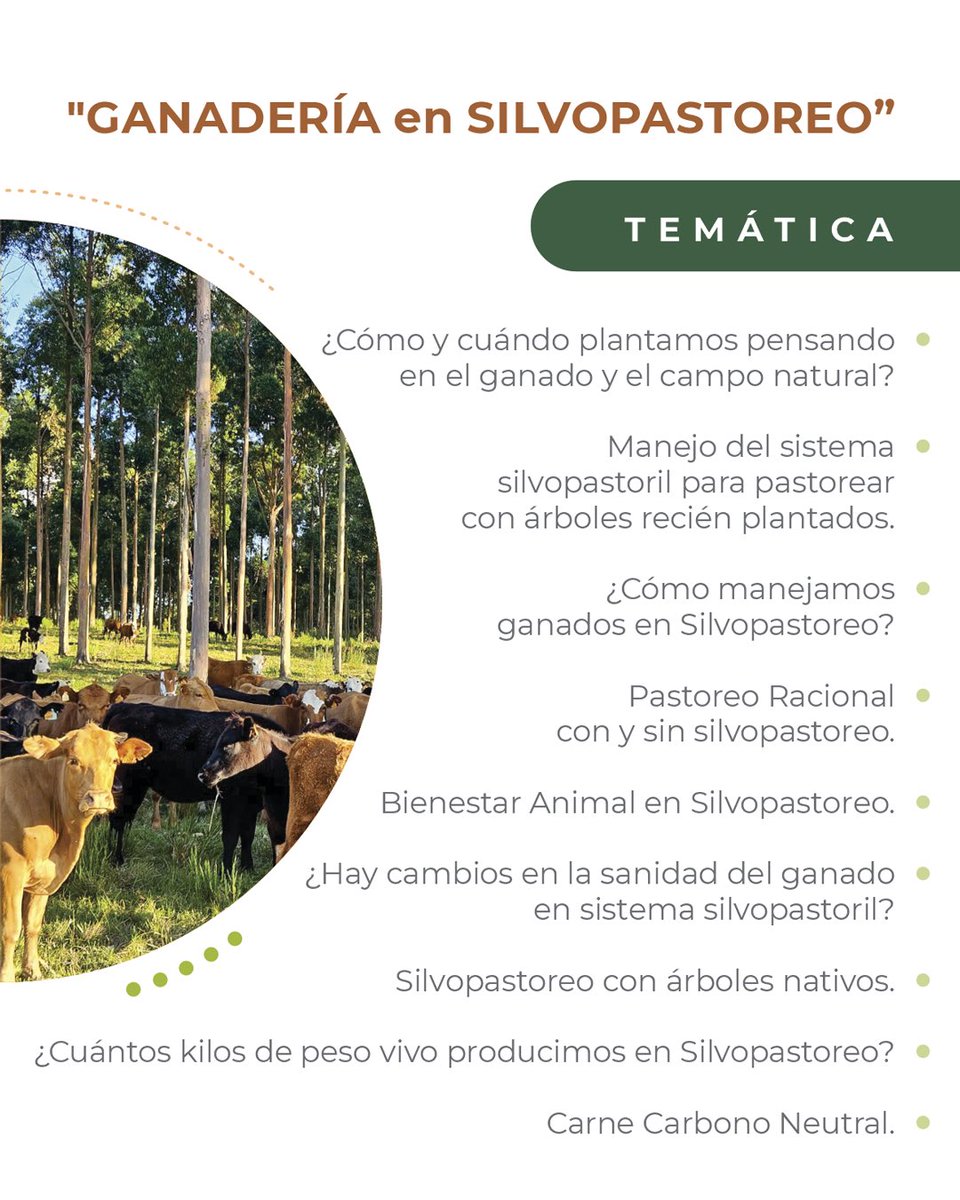 Sociedad Uruguaya de Silvopastoreo tweet media