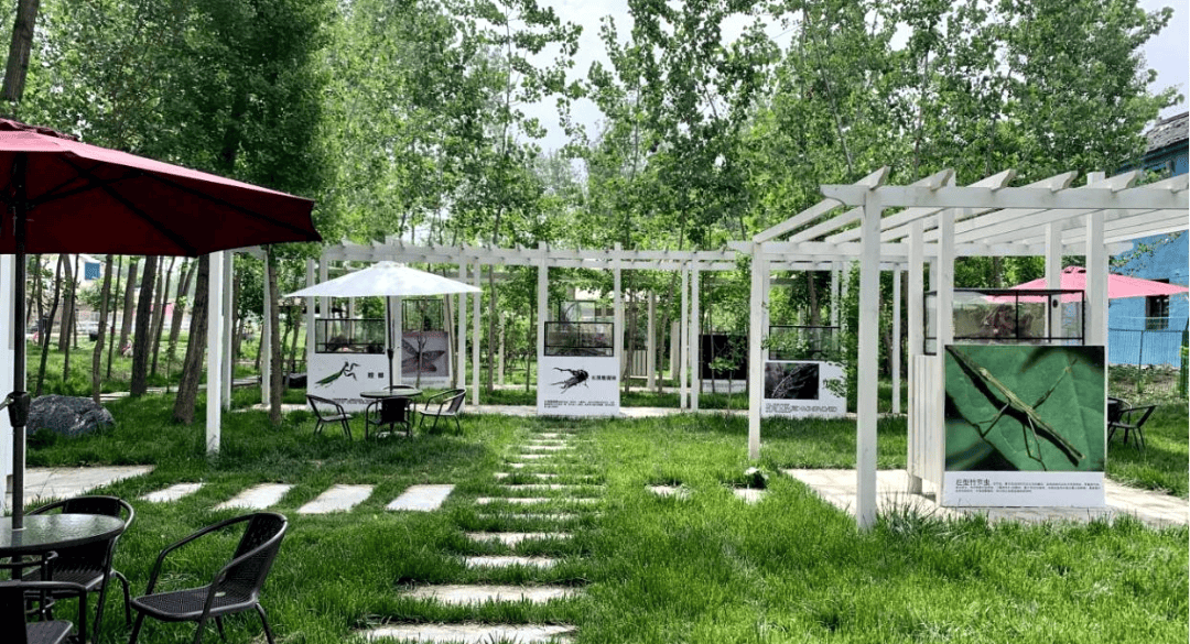 Svetlana Farrugia tweet media