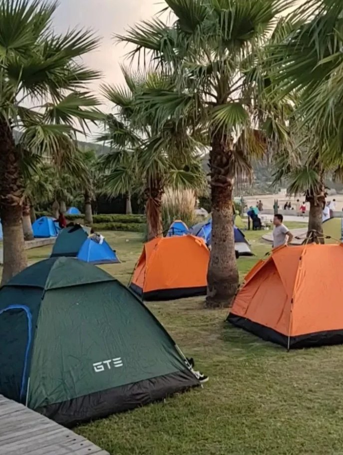 catalina vargas tweet media