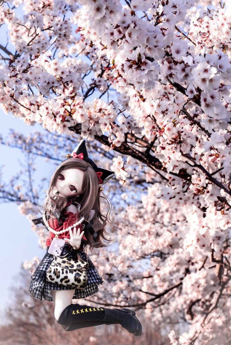 まっつあん🍓 tweet media