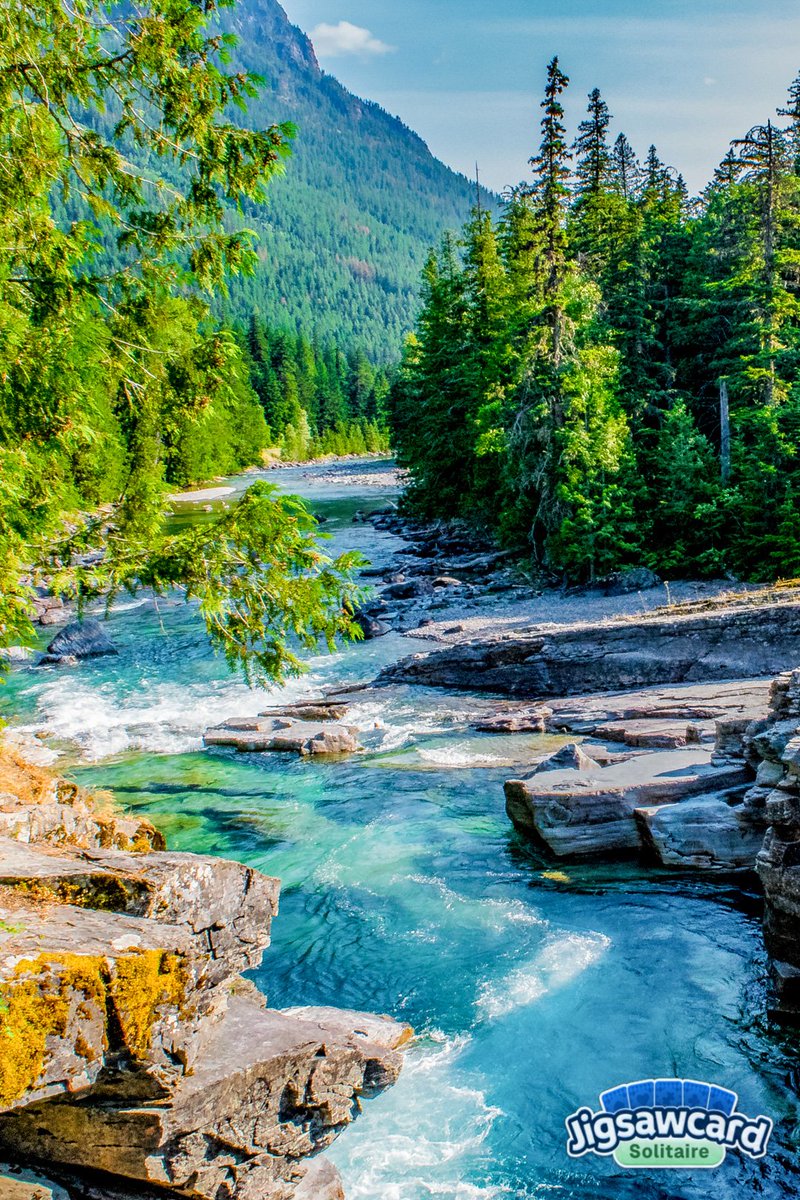 Sally Sarhan (@sssoly2) on Twitter photo 