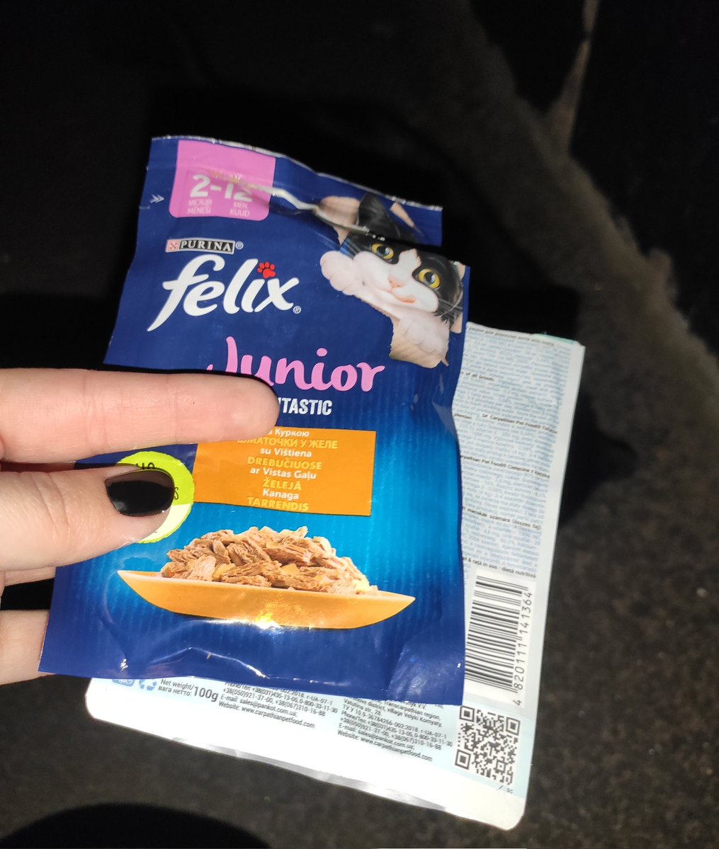 🫟пані киця gone tired🫟 tweet media