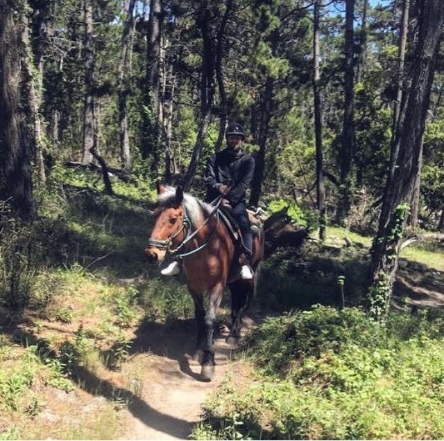 Scaly LG_X tweet media