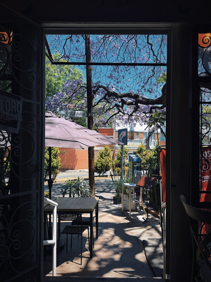 苡涩清茶 tweet media