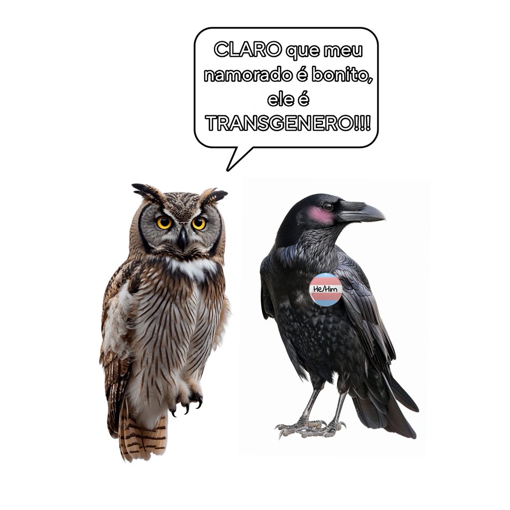 caz 🦎 VAI VER O BTS! tweet media