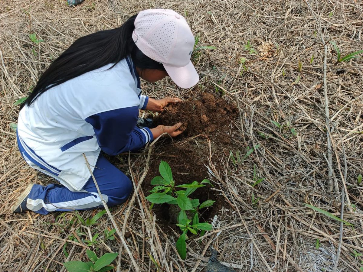 Dirección Zonal 6 MAE tweet media