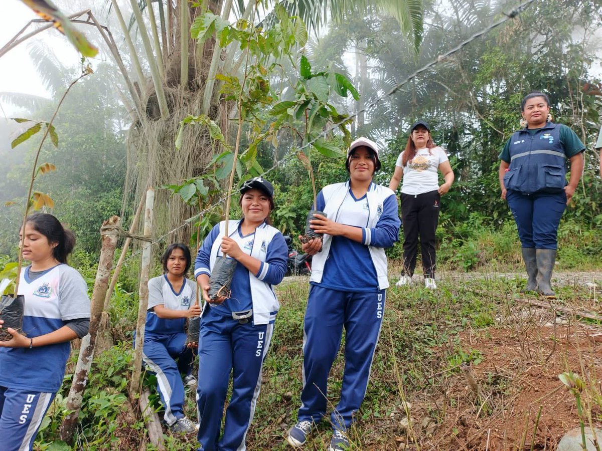 Dirección Zonal 6 MAE tweet media