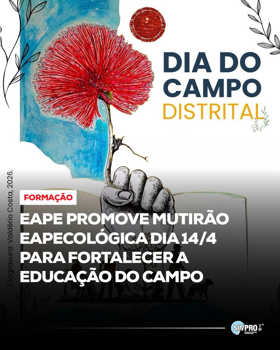 Sinpro-DF tweet media