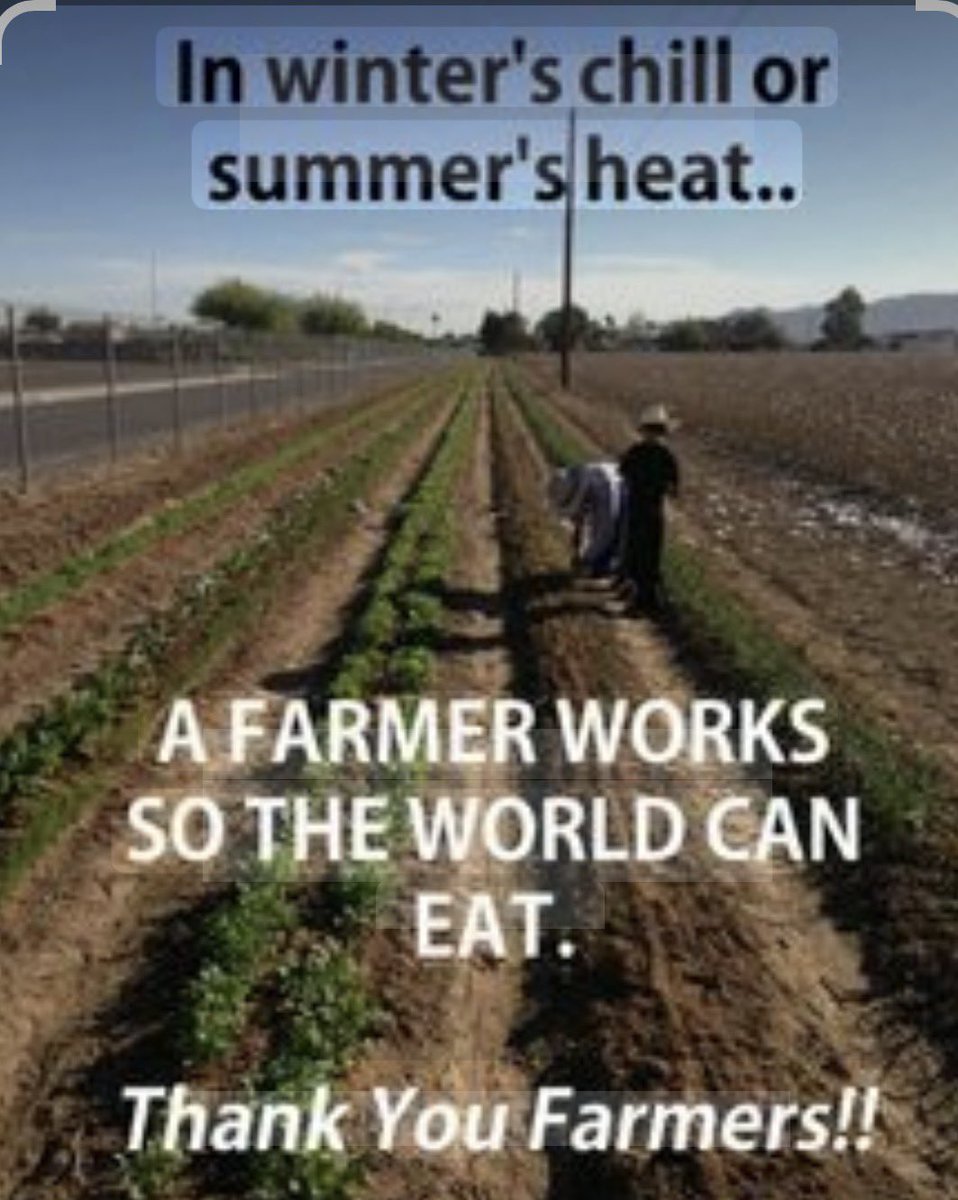 bullseye 🚀 $PEACE tweet media